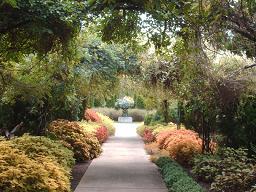 Cheekwood Gardens ---Nashville, TN