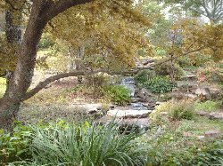 Cheekwood Gardens, Nashville, Tennessee