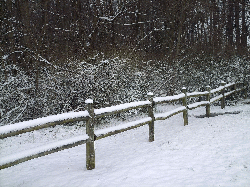 Old Hickory Lake Trail Snow Pictures