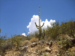 Tucson, Arizona, July 2010